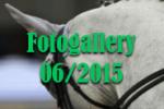 Photogallery 06-2015